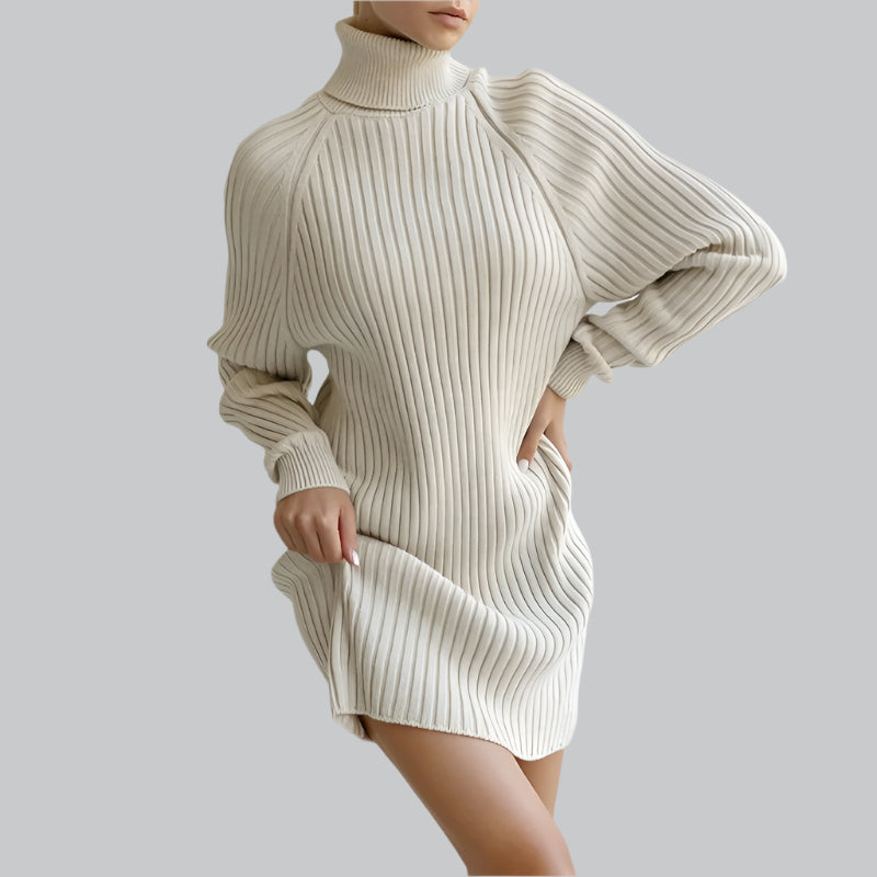 Ribbed Turtleneck Knee Sweater Dress