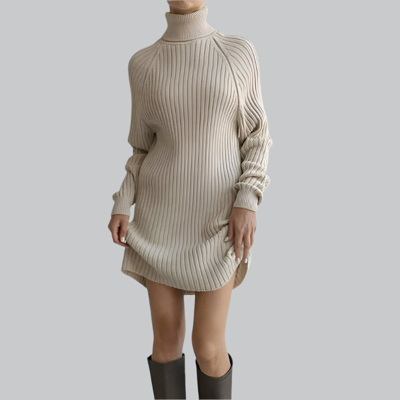 Ribbed Turtleneck Knee Sweater Dress