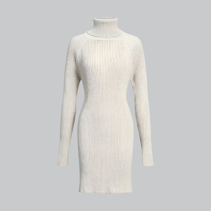 Ribbed Turtleneck Knee Sweater Dress