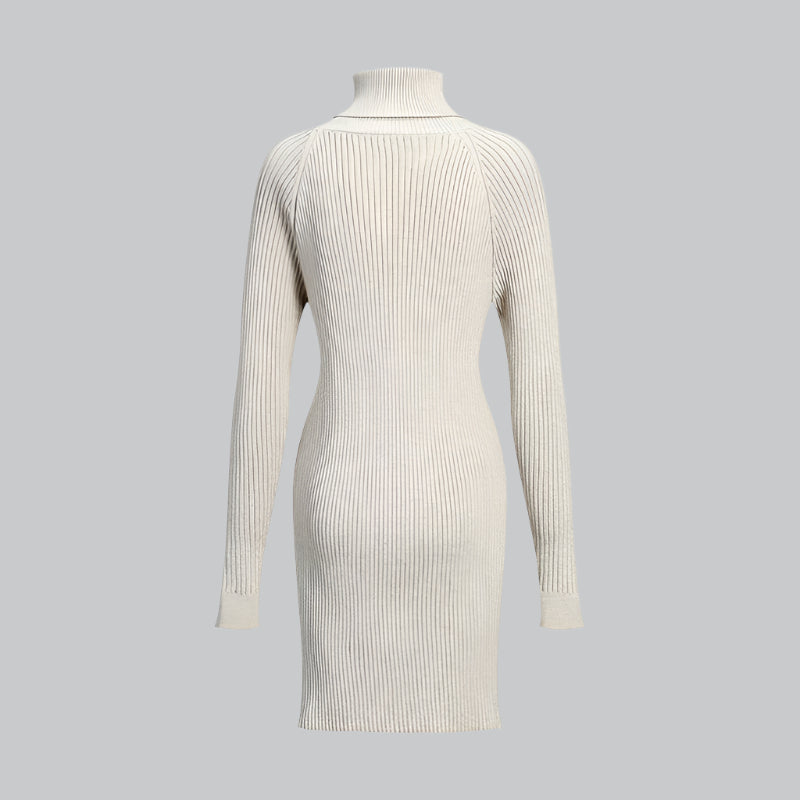 Ribbed Turtleneck Knee Sweater Dress